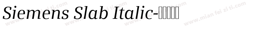 Siemens Slab Italic字体转换